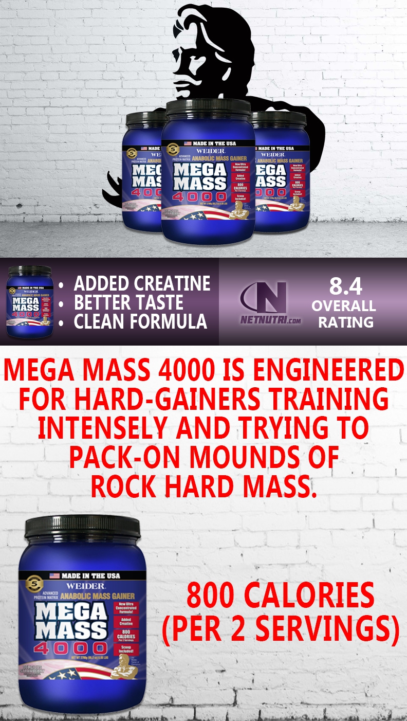 Mega Mass Gainer 4000 | Protein Supplement Powder | Easy Digesting Gainer |  Protein Powder for Men & Women